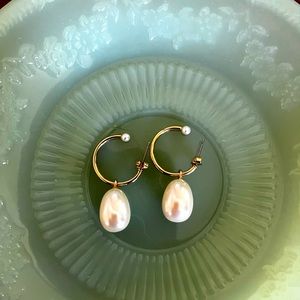 JCrew earrings. NWOT perfect condition.